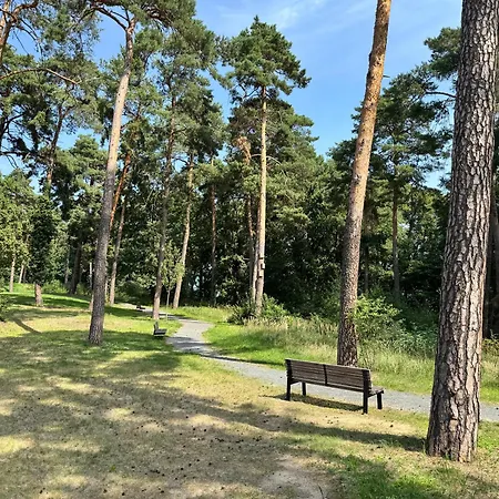 Cozy - Am Mit Pool Und Sauna Lägenhet Bad Saarow